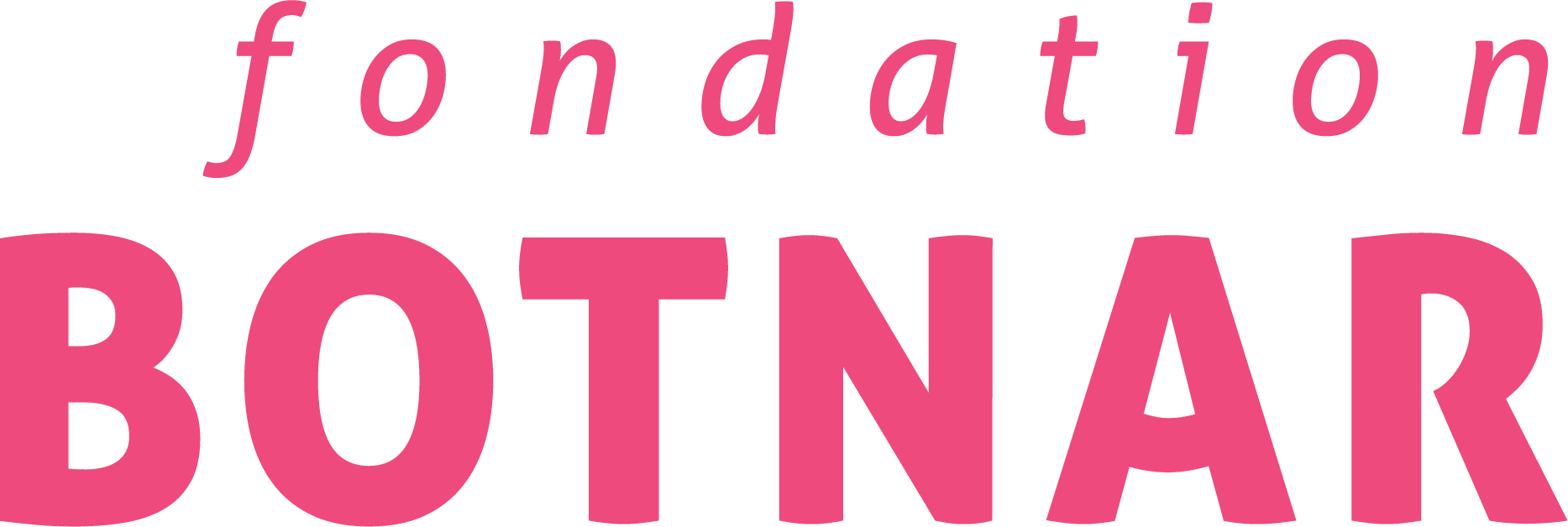 Partner logo Fondation-Botnar
