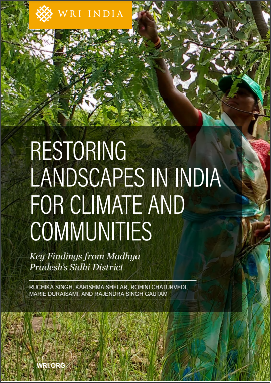 Restoring Landscapes in India for Climate and Communities