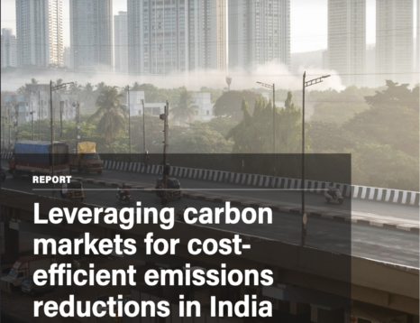 Effective Carbon Market